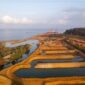 Harita Nickel membangun breakwater di pesisir Kawasi, Pulau Obi, untuk membantu meredam gelombang dan melindungi pesisir dari abrasi. (Dok : istimewa)